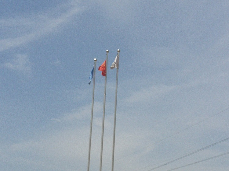 長(zhǎng)風(fēng)破浪在今日，云帆直掛展宏圖